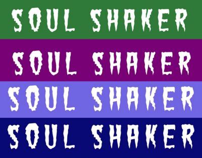 Soul Shaker Village Idiot generic